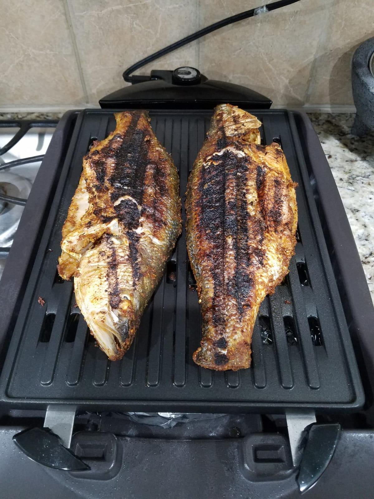 Zojirushi EB-CC15 Indoor Electric Grill customer photo 1