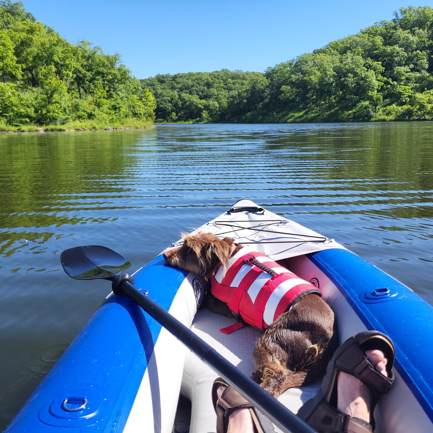 Sea Eagle 420X Explorer Inflatable Kayak- Fishing, Touring, Camping, Exploring & White Watering-Self Bailing, Removable Skeg, Drop Stitch Floor customer photo 2