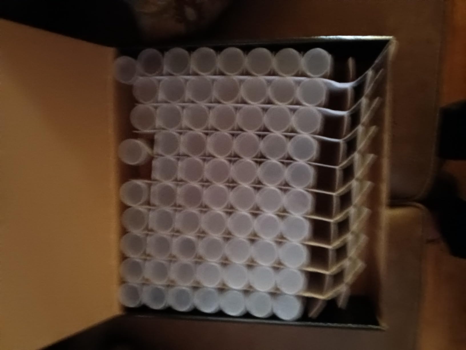 BCW Quarter Coin Storage Tubes - 100 Pack | Archival Quality Plastic Coin Holders, Screw-On Caps | Long-Term Coin Storage customer photo 2