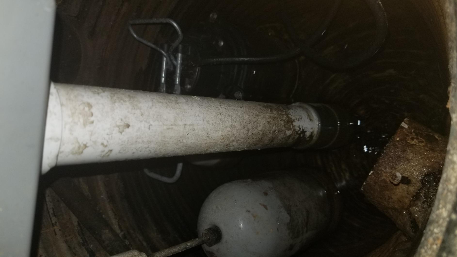 WAYNE CDU980E 3/4 HP Submersible Sump Pump - Cast Iron & Stainless Steel, Vertical Float Switch, 5,490 GPH customer photo 1