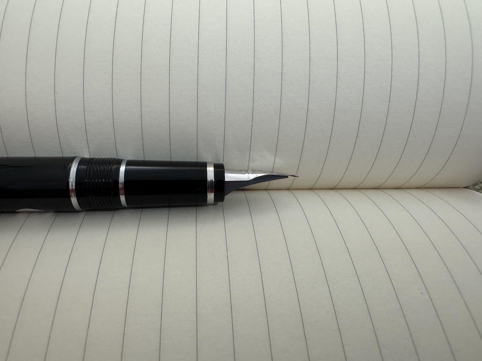 PILOT Elabo Collection Fountain Pen, Light Blue, Soft Extra Fine Nib (Gold Nib) customer photo 1