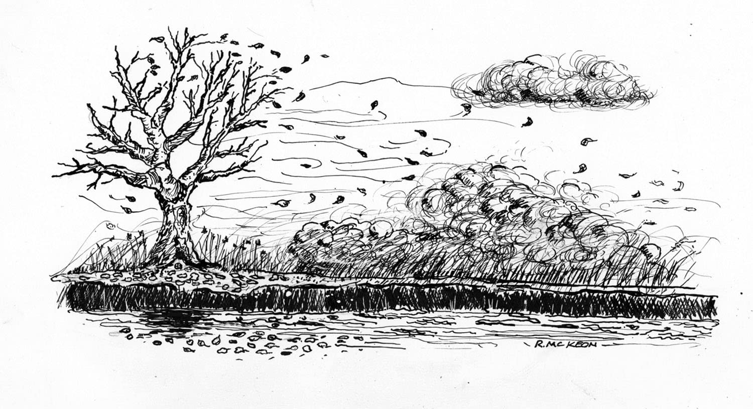 Noodler's Ink Ahab Flex Nib Ivory Darkness Fountain Pen - ND-15028 customer photo 1