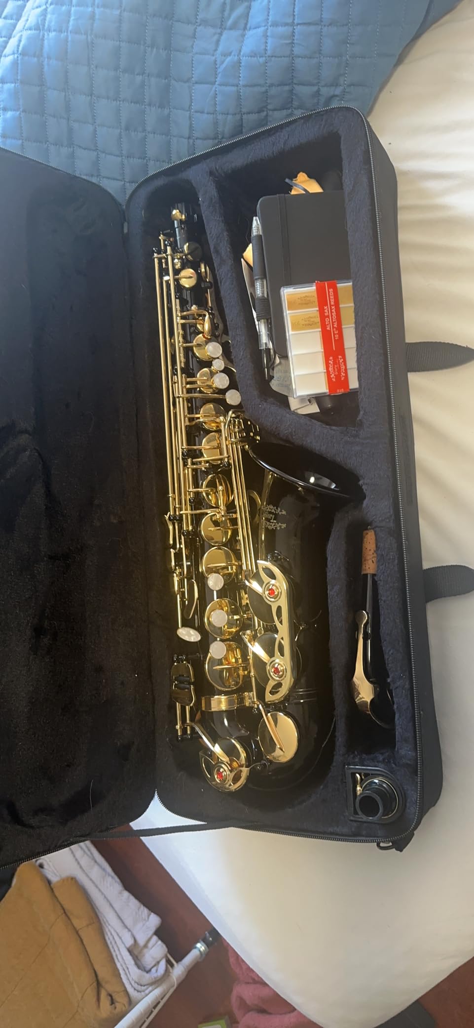 Glory Gold Lacquer E Flat Alto Saxophone with 11 Reeds, 8 Pad Cushions, Case, Care Kit customer photo 1