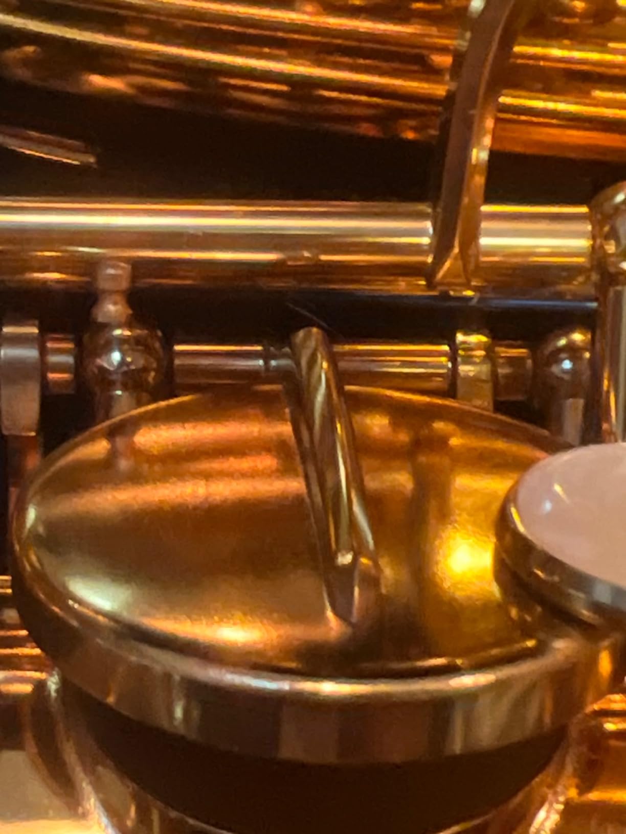 Glory Gold Lacquer E Flat Alto Saxophone with 11 Reeds, 8 Pad Cushions, Case, Care Kit customer photo 2