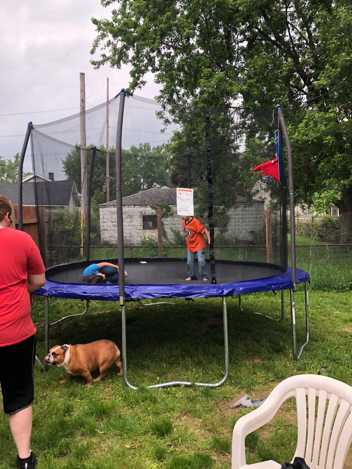 Skywalker Trampoline Outdoor 8 FT, 12 FT, 15 FT Jump N' Dunk Round Outdoor Trampoline with Net, Trampoline Mat, and Basketball Hoop for Trampoline customer photo 2