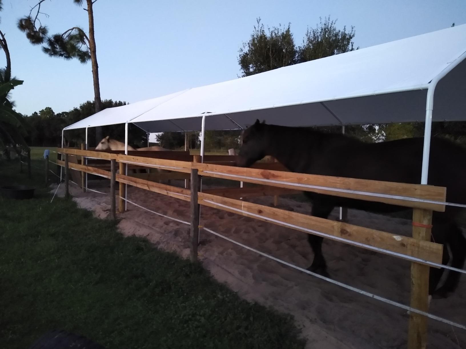 Quictent 10x20 ft Heavy Duty Carport Canopy Galvanized Car Tent Outdoor Garage Boat Shelter with Reinforced Structure, No Sidewall, White customer photo 2