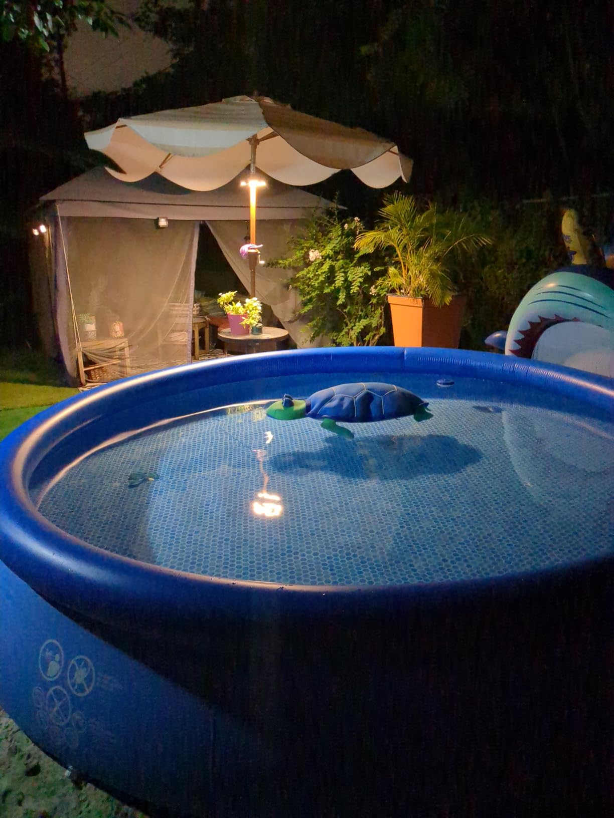 INTEX Easy Set 15 ft x 48in Inflatable Ring Above Ground Pool Set w/Pump | 26167EH - 1000 GPH Cartridge Filter Pump, Ladder, Pool Cover & Ground Cloth Included customer photo 1