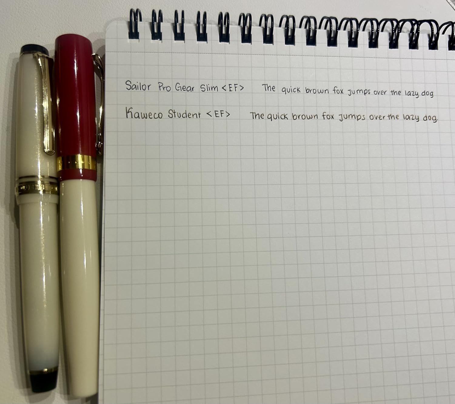 Sailor 11-1224-101 Fountain Pen, Four Seasons Weave, Snowmoon Sky Leaves, Extra Fine (14K Gold Nib) customer photo 1