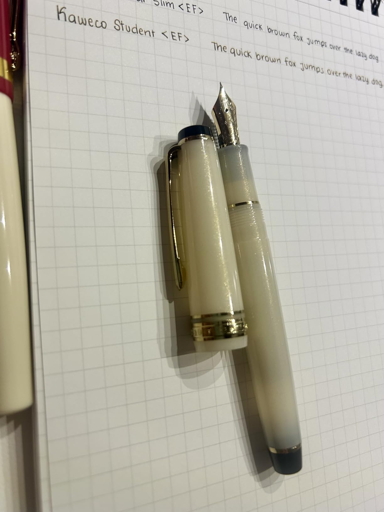 Sailor 11-1224-101 Fountain Pen, Four Seasons Weave, Snowmoon Sky Leaves, Extra Fine (14K Gold Nib) customer photo 2