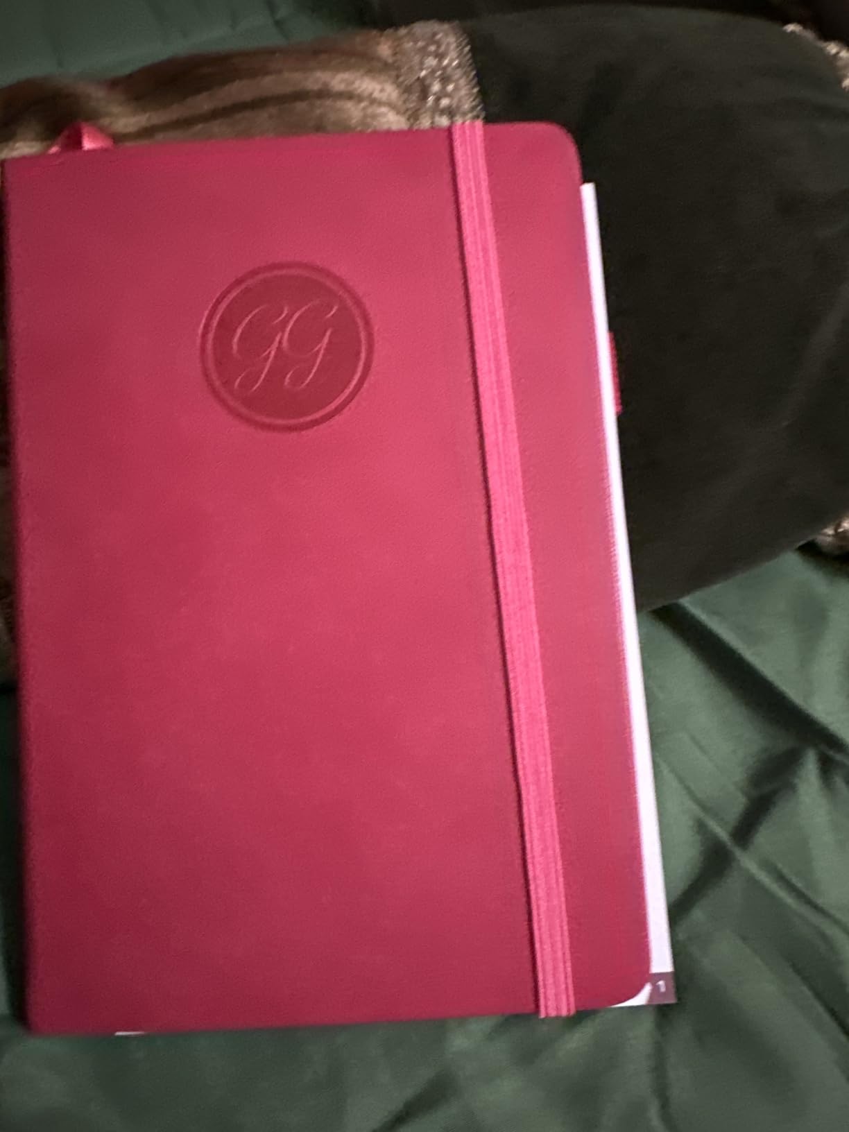 GoGirl Budget Planner - Paycheck & Bill Organizer Book 5.3x7.7 Rose Gold | Undated monthly budget book for income & bills, financial saving & expense tracker, hardcover money log customer photo 2