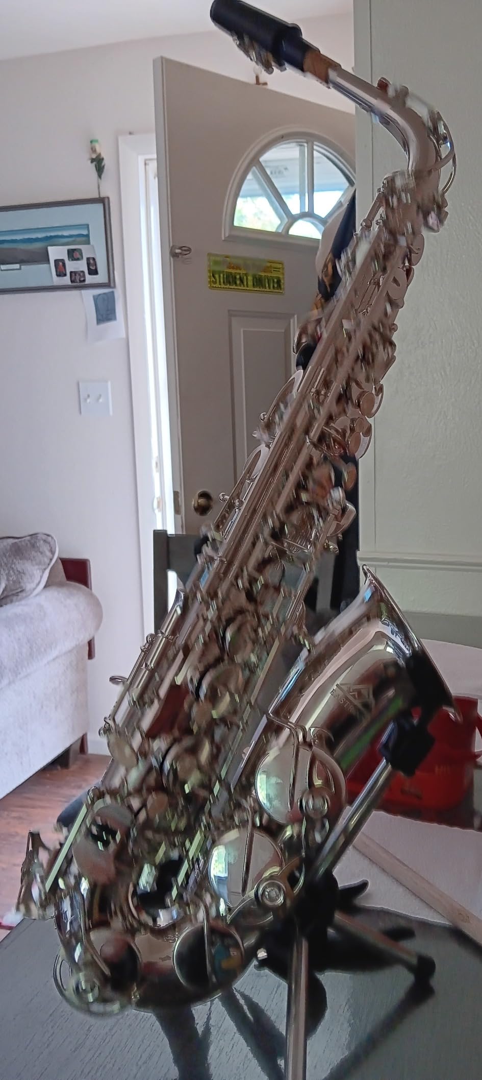 EASTROCK E Flat Alto Saxophone Blue/Golden for Beginners and Students with Case, Mouthpiece, Reeds, Cleaning Kit customer photo 1