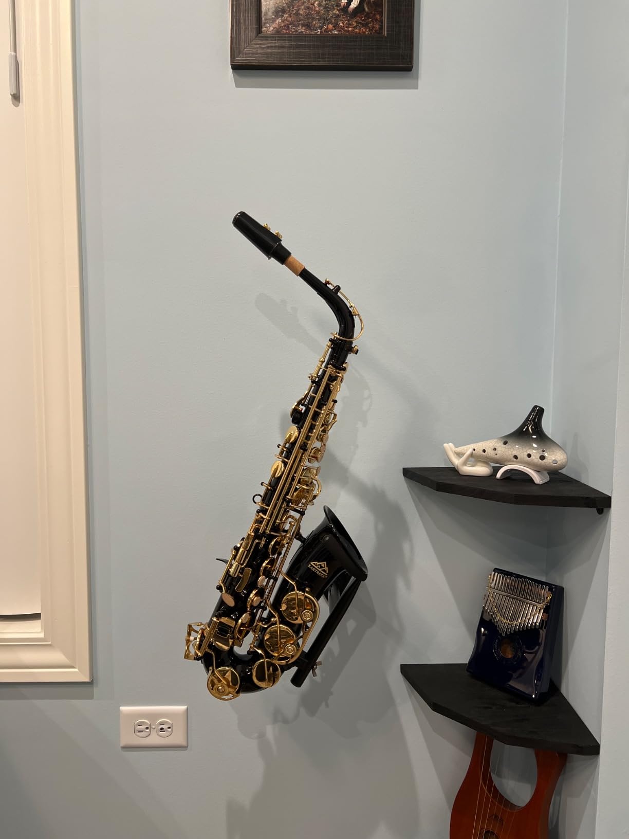 EASTROCK E Flat Alto Saxophone Blue/Golden for Beginners and Students with Case, Mouthpiece, Reeds, Cleaning Kit customer photo 2
