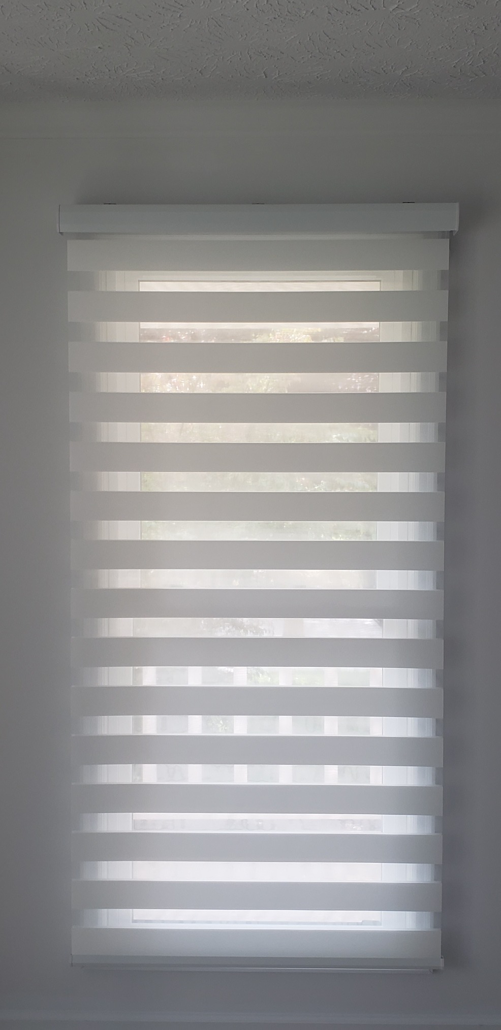 Graywind Motorized Zebra Blinds for Windows, Blackout Smart Blinds with Remote Control, Dual Layer Custom Zebra Shades Work with Alexa, Google Home, Apple Homekit customer photo 2