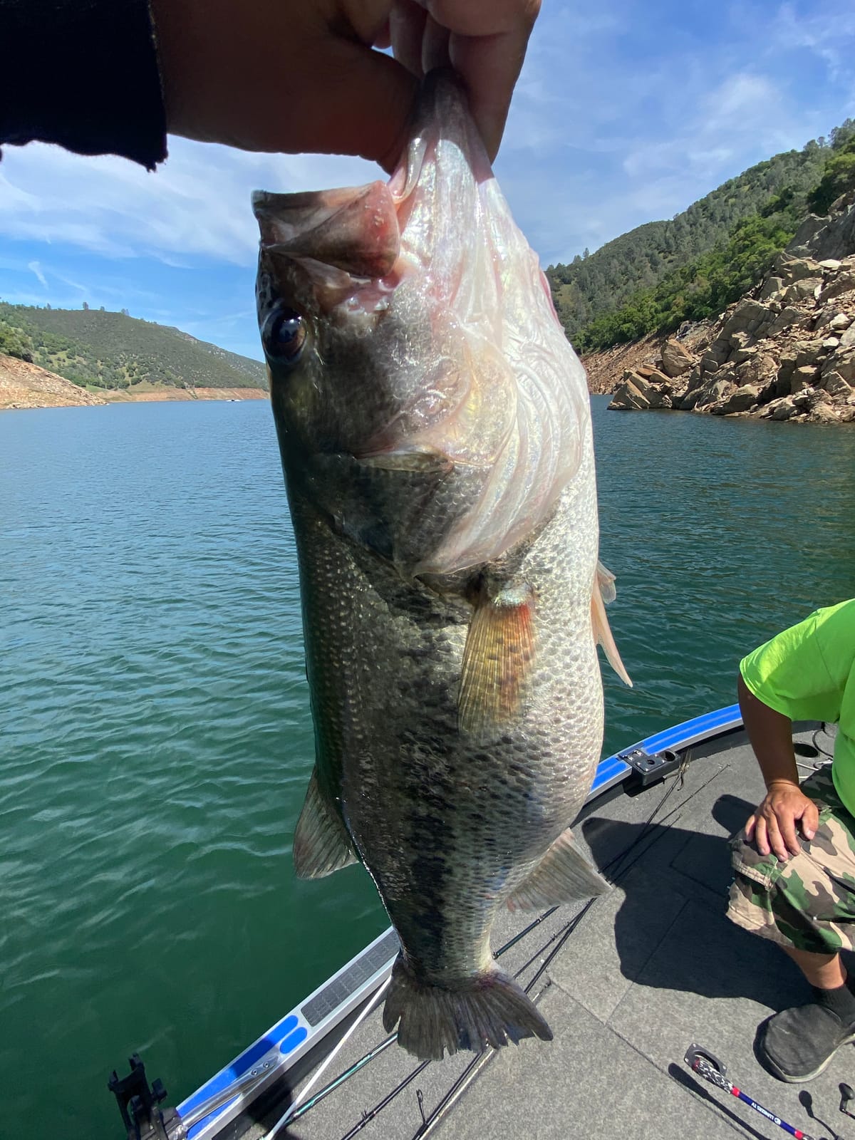 Shimano SLX DC Baitcasting Reel (Digital Control) customer photo 1