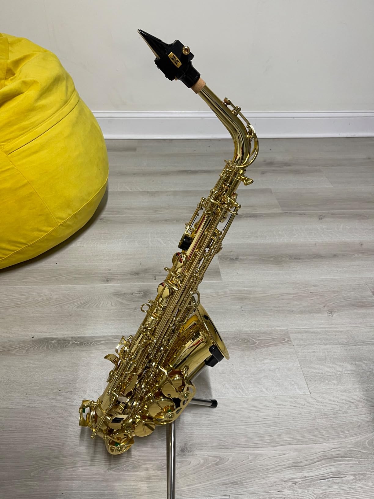 Eastar Tenor Saxophone Beginner Bb Flat Sax, Golden Full Kit, TS-II customer photo 1