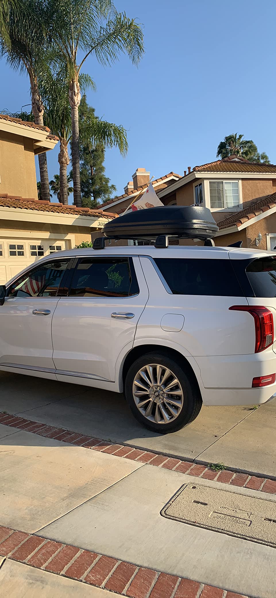 Auto Dynasty Hard Shell Roof Top Mount Cargo Carrier Travel Luggage Box, 53