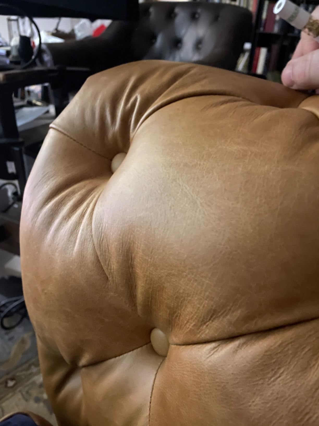 POLY & BARK Canale Sofa - 86