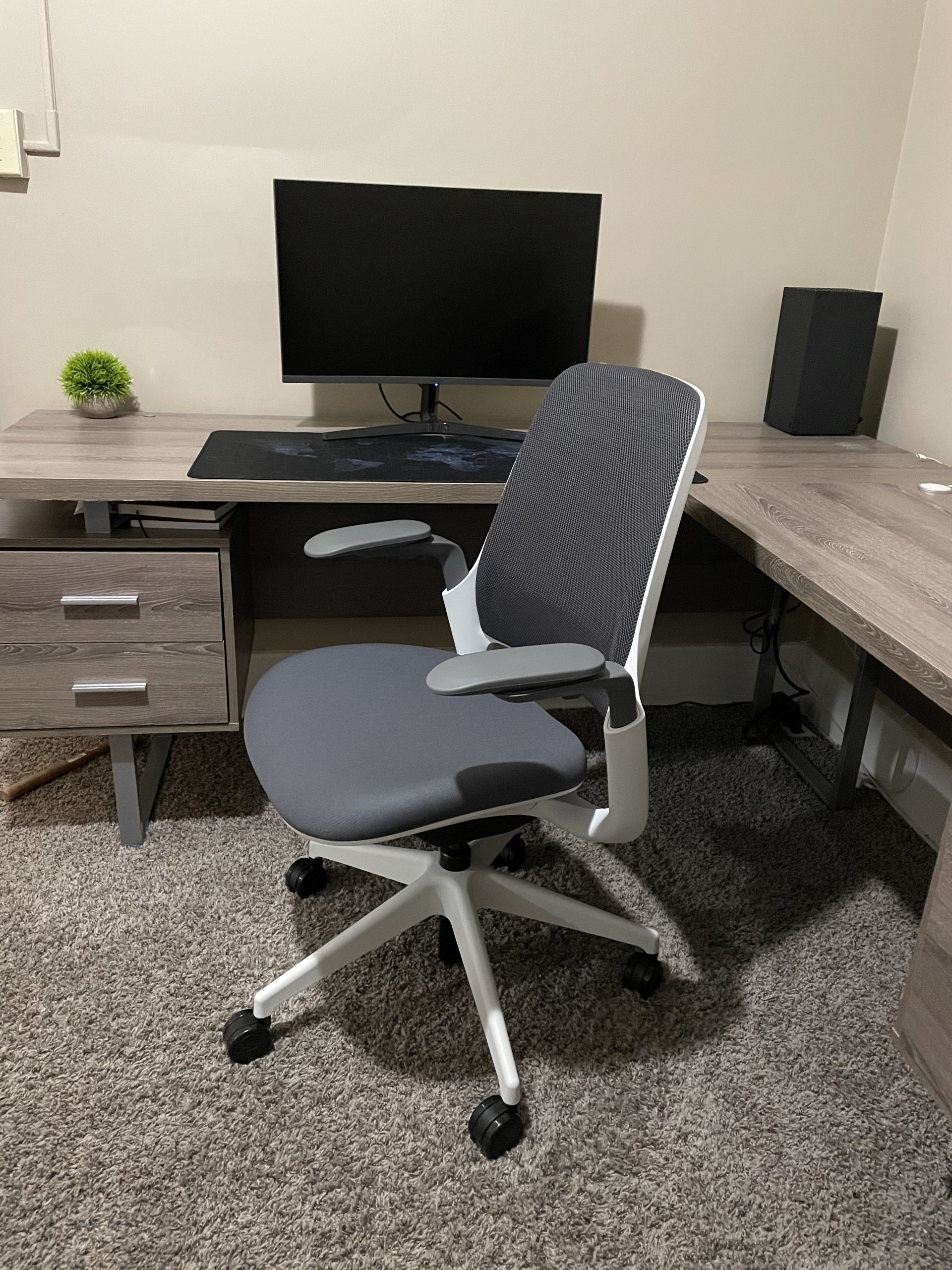 Steelcase Series 1 Office Chair - Ergonomic Work Chair with Wheels for Carpet - Helps Support Productivity - Weight-Activated Controls, Back Supports & Arm Support - Easy Assembly - Graphite, Light customer photo 1