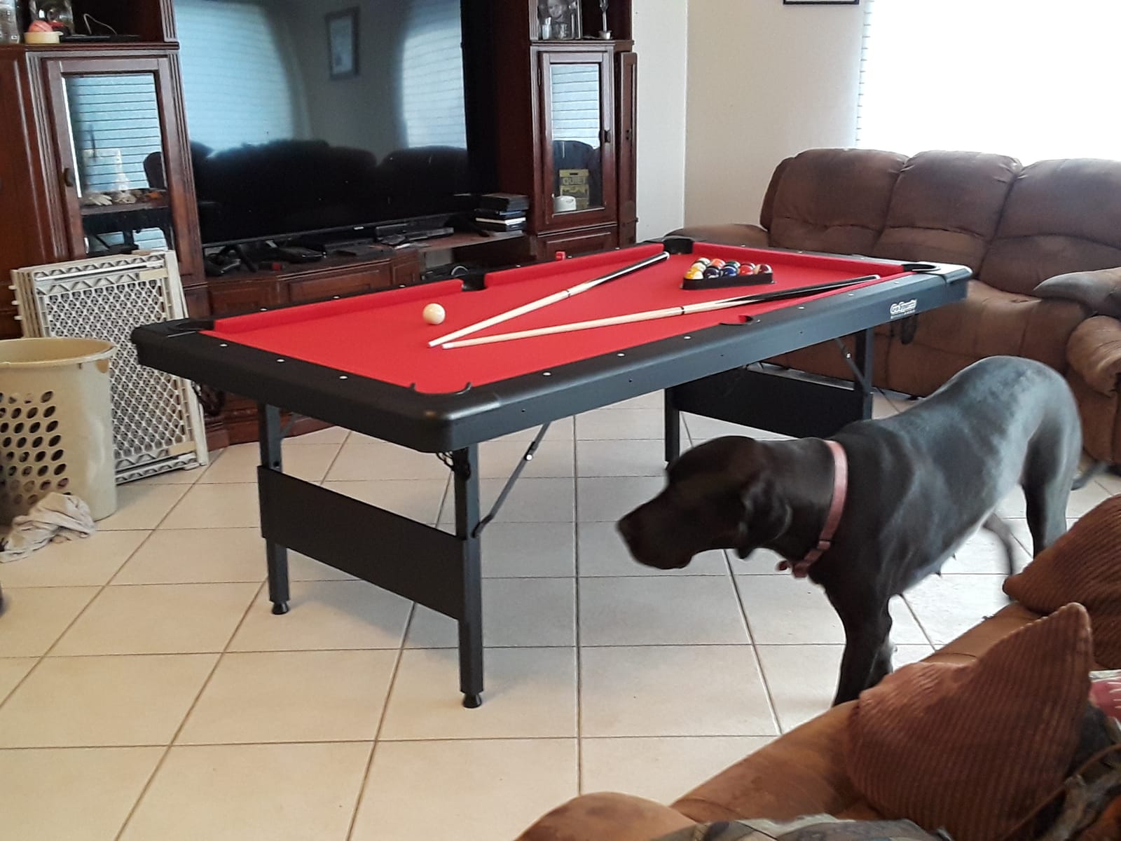 GoSports Billiards Game Table - Foldable Design customer photo 1