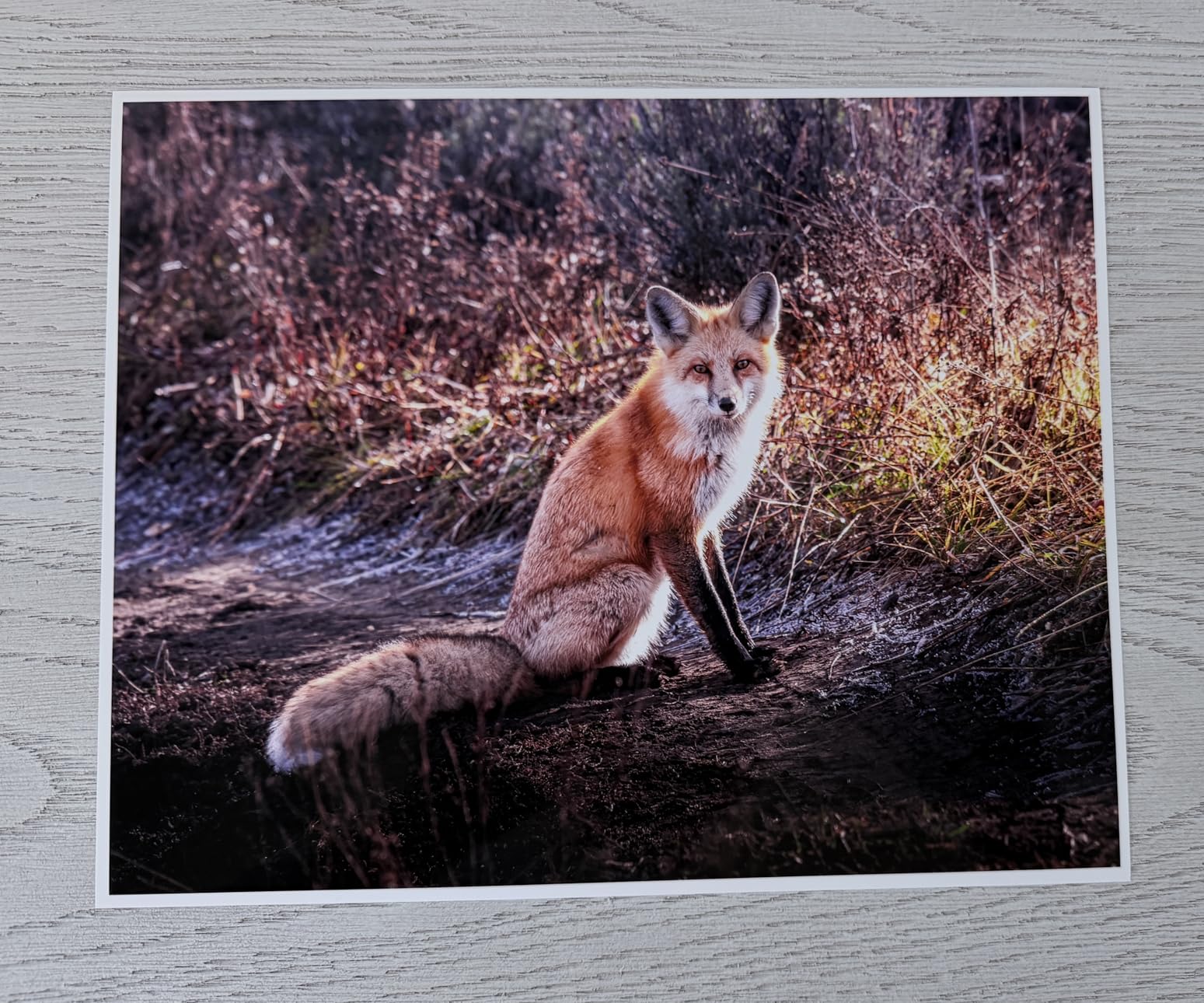 Epson EcoTank Photo ET-8550 Wireless Wide-Format All-in-One Tank Printer | Cartridge-free 6-color wide-format photo print, scan, copy; up to 13 x 19 in. customer photo 2