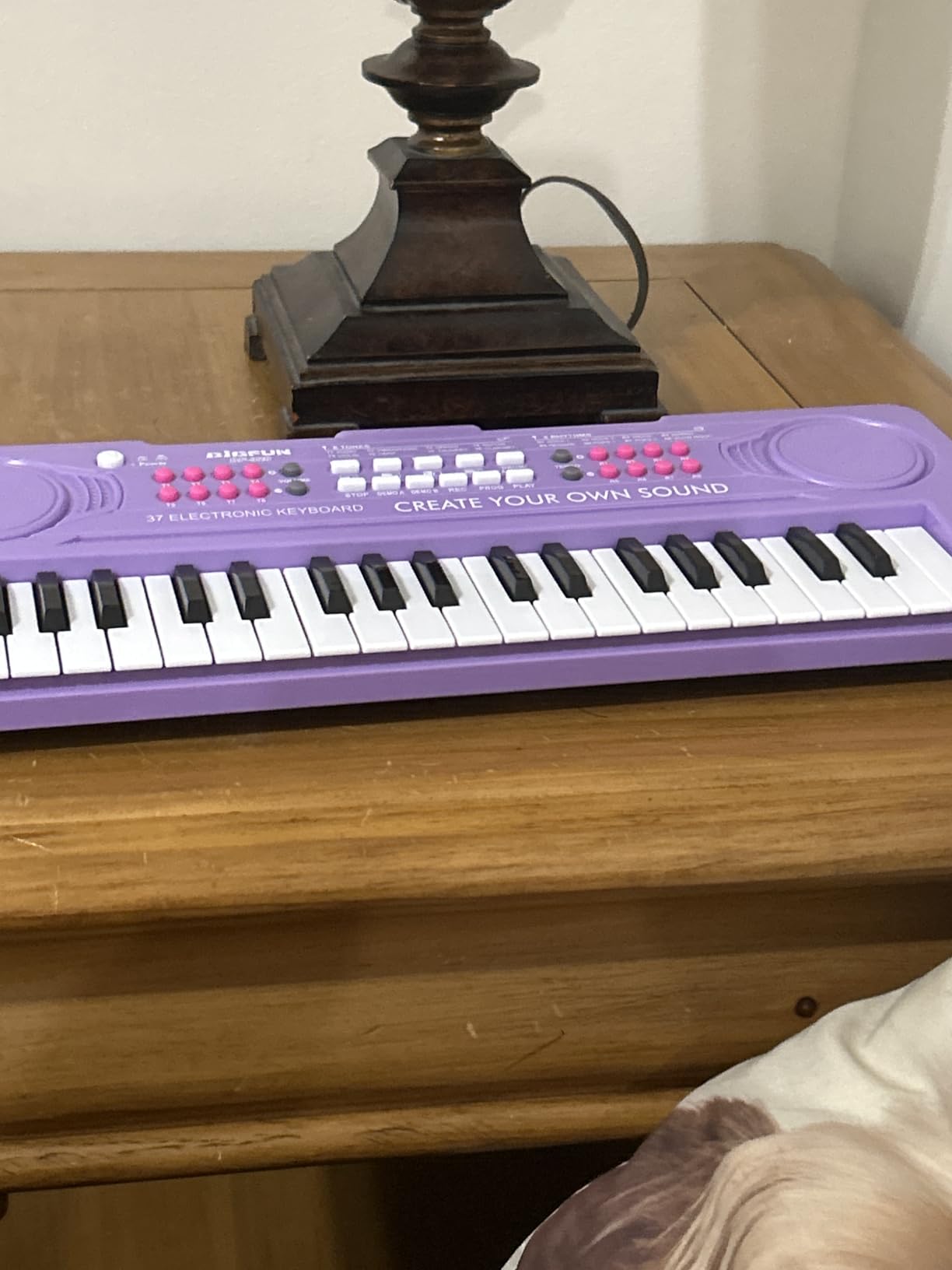 BIGFUN 37 Keys Toddler Piano Instrument Toy, Purple customer photo 1