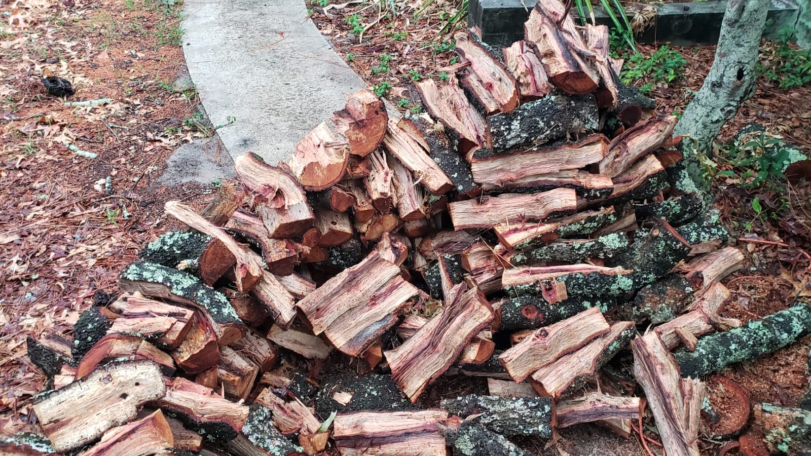 SuperHandy Log Splitter Portable 20 Ton Rapid Auto Return Ram System 7HP Engine customer photo 2