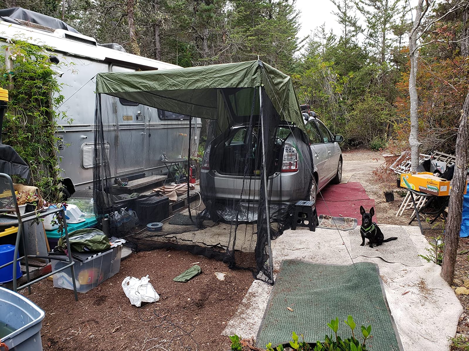 G4Free Car Awning Sun Shelter with Mosquito Net, Portable SUV Tent Tailgate Shade Car Canopy for Outdoor Camping Travel, Blue customer photo 1
