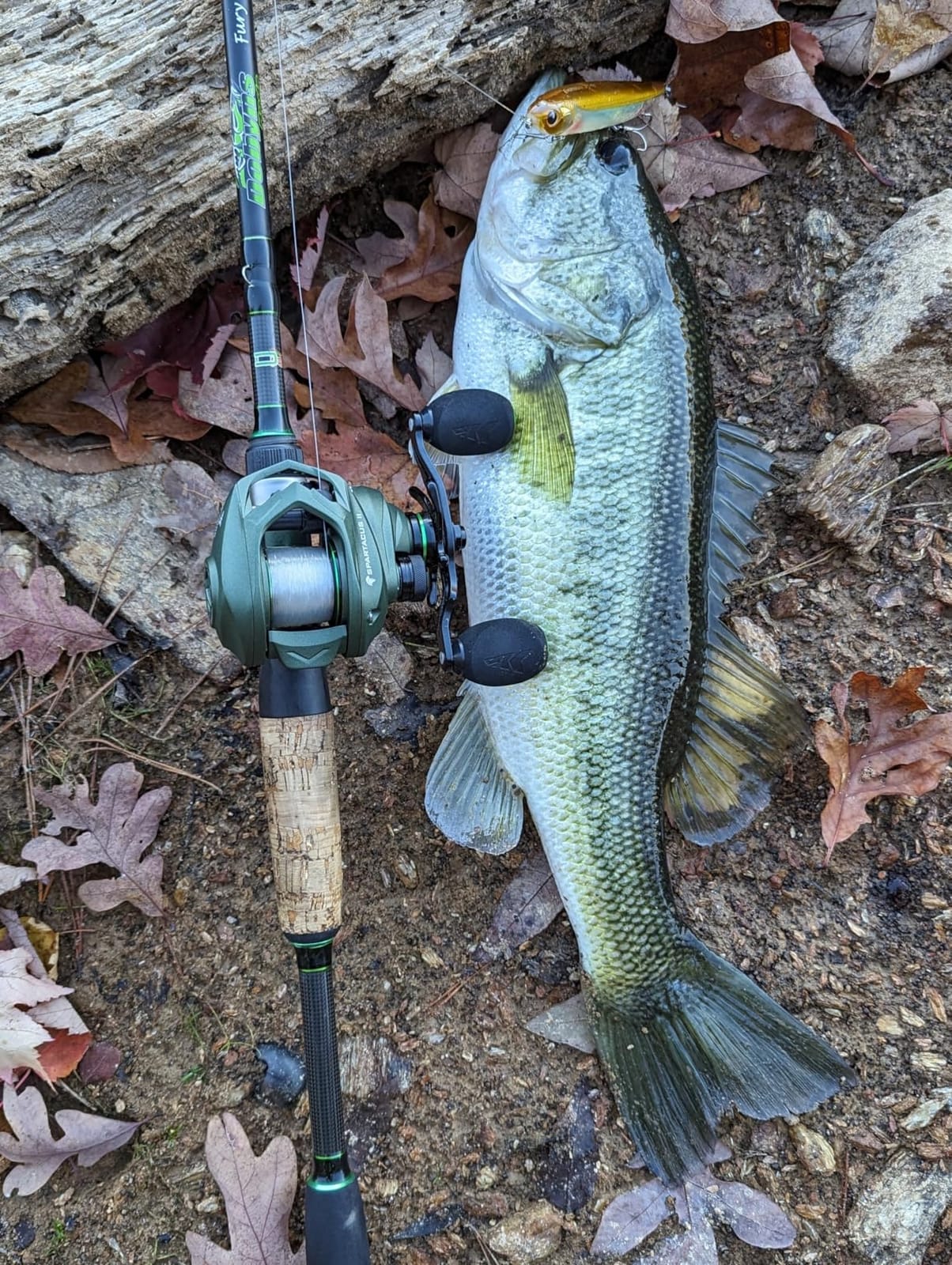 KastKing Spartacus II Baitcasting Reel, 7.2:1, 17.6 lb Max Drag, 7+1 BB, 6 oz customer photo 1