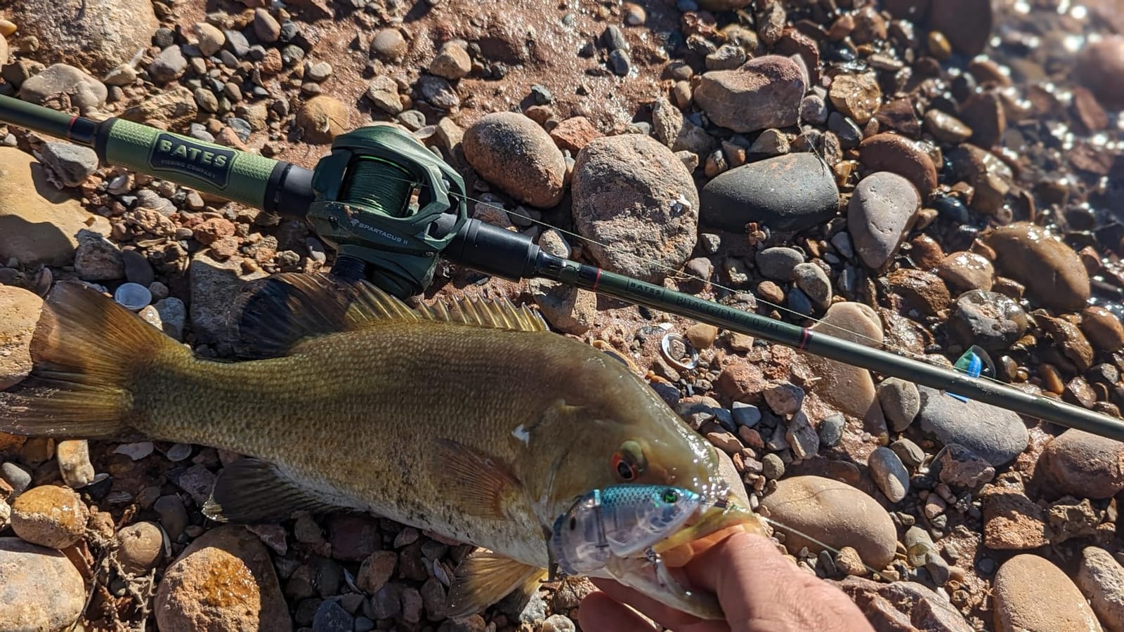 KastKing Spartacus II Baitcasting Reel, 7.2:1, 17.6 lb Max Drag, 7+1 BB, 6 oz customer photo 2