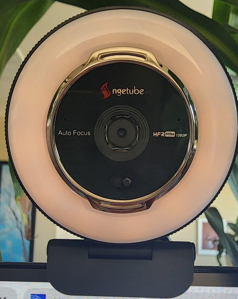Angetube Streaming Webcam with Microphone, USB 1080P Web Cam w/Ring Light | Remote Control, 1080P@60FPS, 5X Digital Zoom, Built in Privacy Cover, HD Computer Web Camera for Desktop, PC, Laptop, Mac customer photo 1
