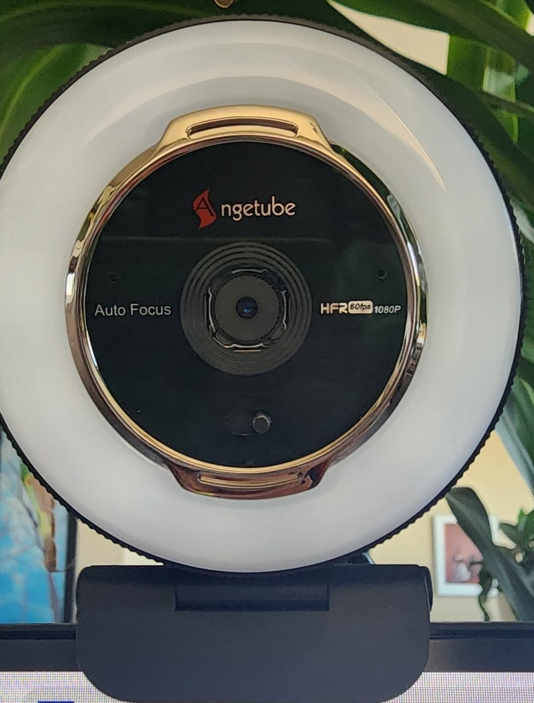 Angetube Streaming Webcam with Microphone, USB 1080P Web Cam w/Ring Light | Remote Control, 1080P@60FPS, 5X Digital Zoom, Built in Privacy Cover, HD Computer Web Camera for Desktop, PC, Laptop, Mac customer photo 2