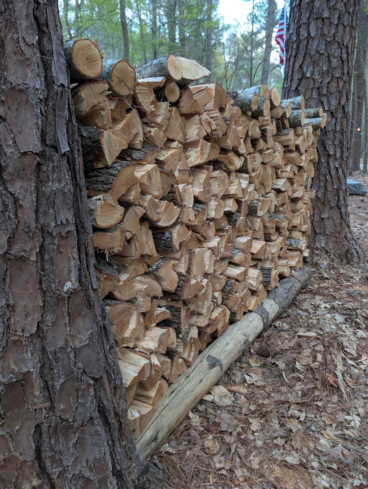 YARDMAX YS0650 6.5 Ton Electric Log Splitter customer photo 1