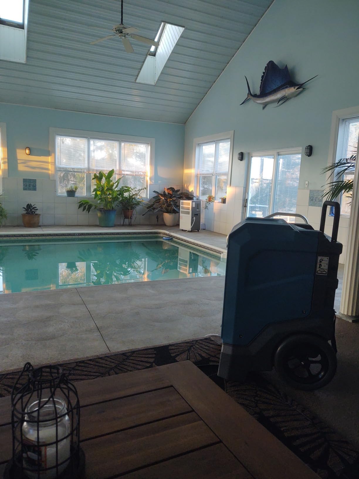 310 Pints LGR Commercial Dehumidifier with Built-In Pump and Drain Hose - Portable, Heavy-Duty Dehumidifier with Wheels for Basements, Garages, Home, and Job Sites (Blue) customer photo 2