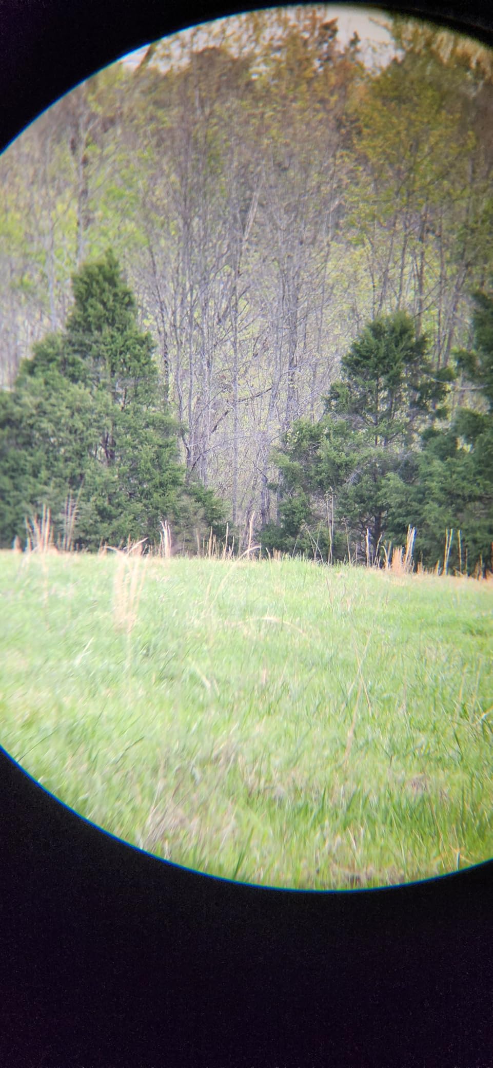 Vortex Triumph HD 10x42 Binoculars | HD Optics, Tripod Adaptable, Waterproof, Fogproof, Shockproof, Included Glasspak Harness - Unlimited, Unconditional Warranty customer photo 1