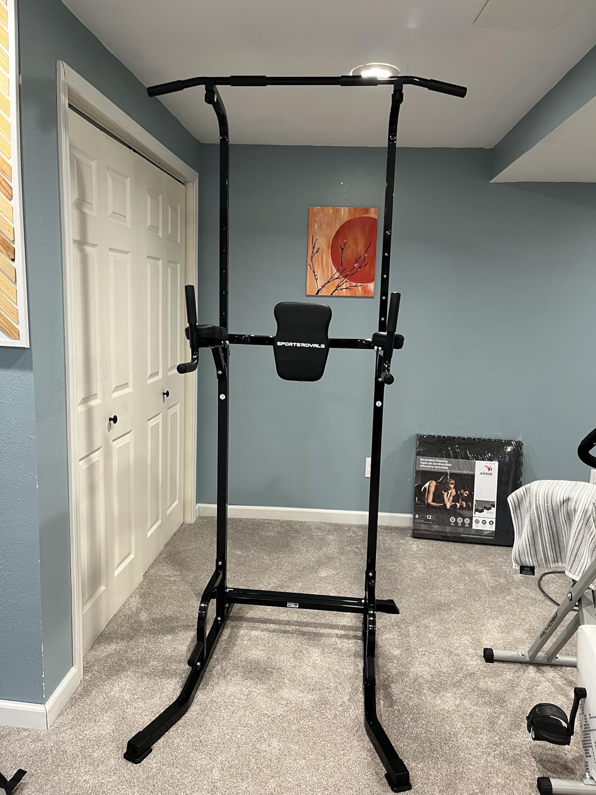 SPORTSROYALS Free Standing Pull Up Bar, Power Tower for Home Gym Training customer photo 1