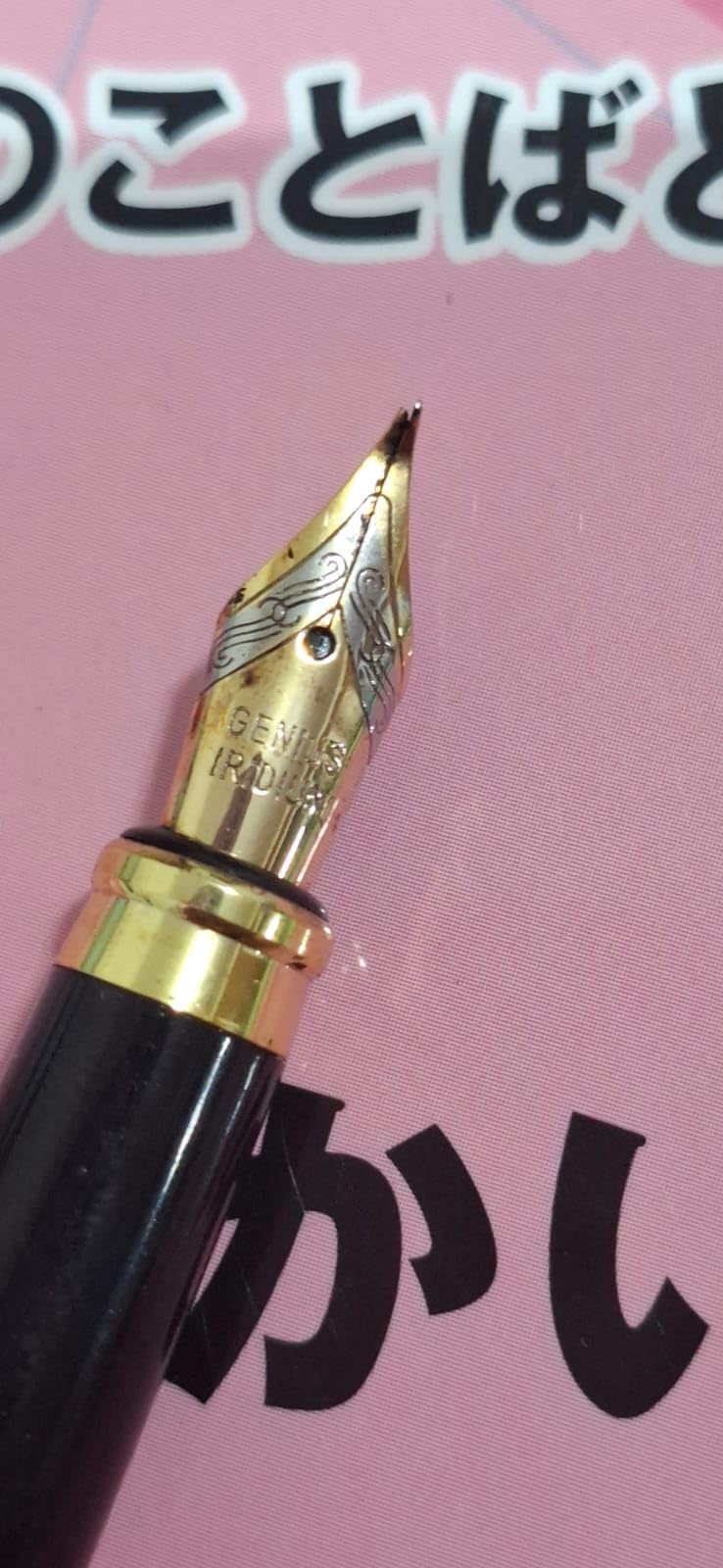cobee Metal Fountain Pen with 3 Different Nibs Set, Luxury Fountain Pen Includes Medium, Extra Fine Point, Bent Nib Calligraphy Writing Pen Frosted Finish Business Pen for Men Women (Black) customer photo 1