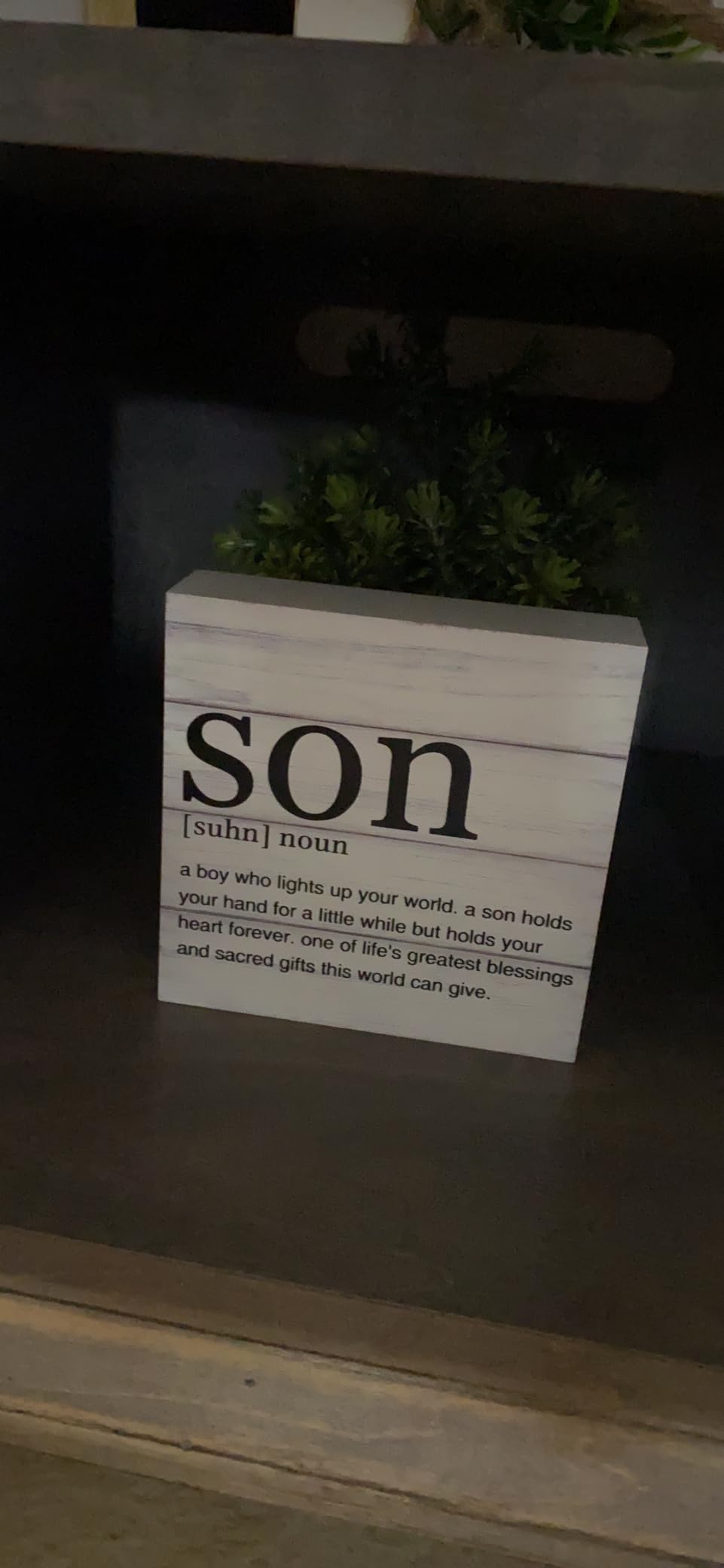 Office Signs Accountant Quote Wooden Box Sign When You Excel They Always Spreadsheet about You Desk Decorative Wooden Sign Office Decor for Desk Table Shelf 5 x 5 Inches customer photo 2