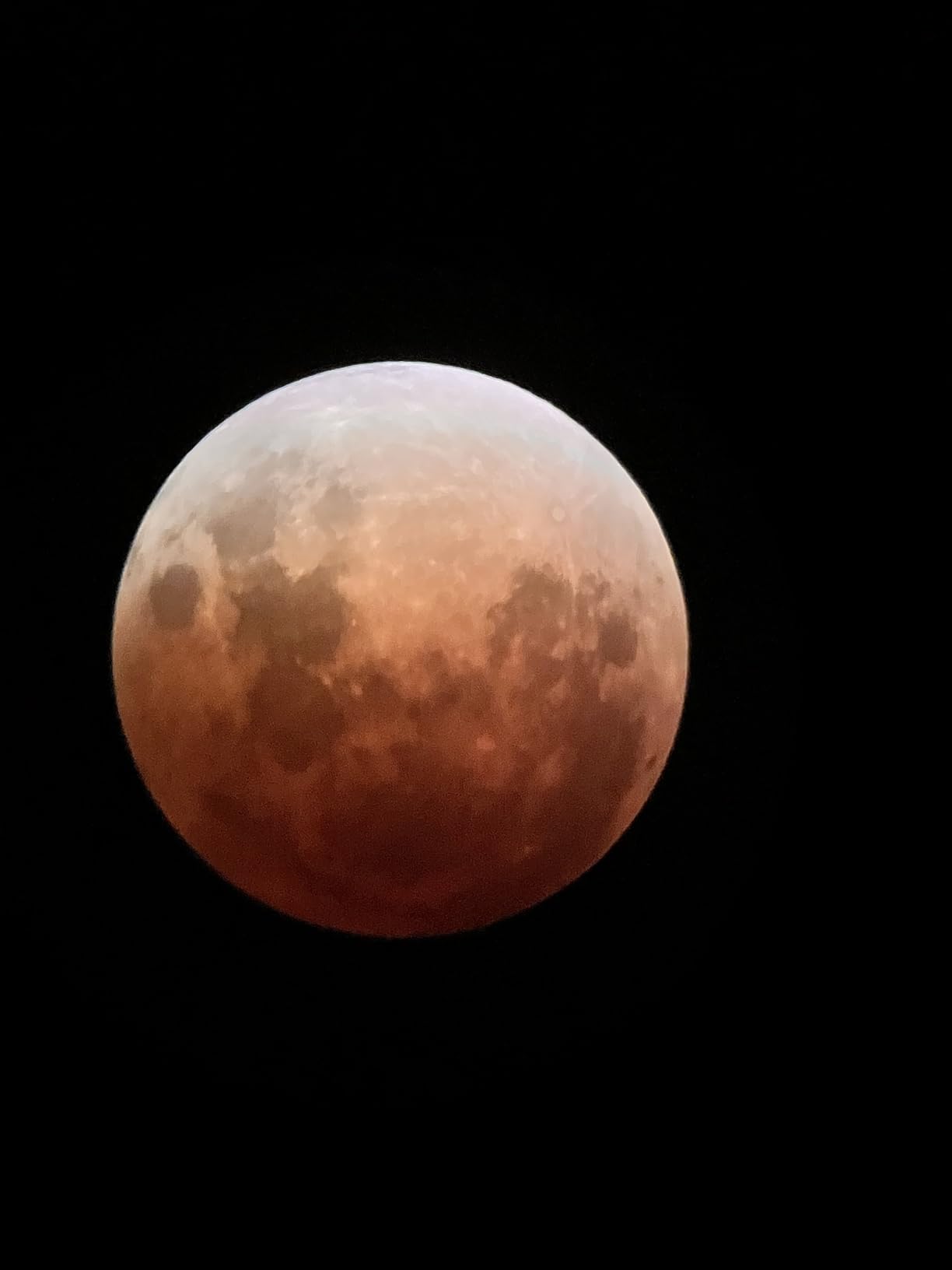 Celestron StarSense Explorer 114mm App-Enabled Tabletop Dobsonian Telescope customer photo 1