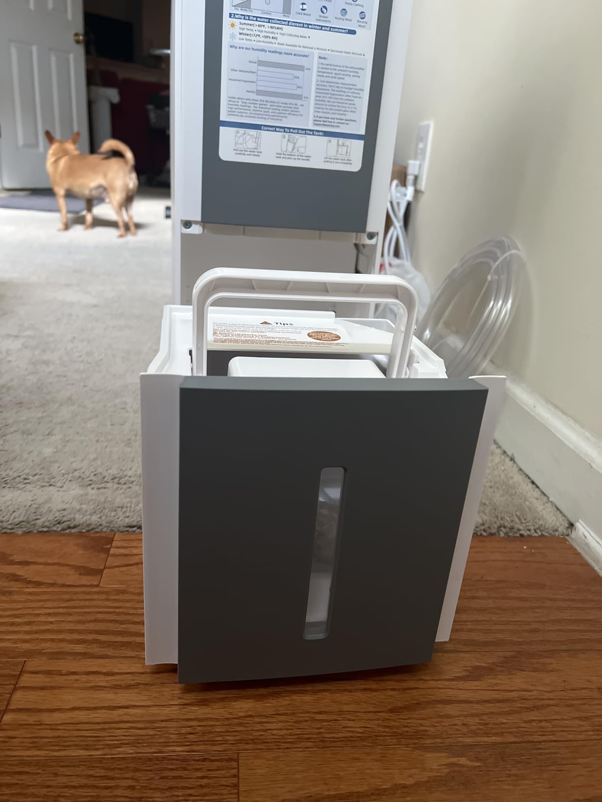 5500 Sq.Ft Energy Star Most Efficient 2025 Dehumidifier Max 80Pint/D | Dehumidifier with Drain Hose for Basement, Home, Bedroom, Bathroom, Intelligent Humidistat customer photo 2