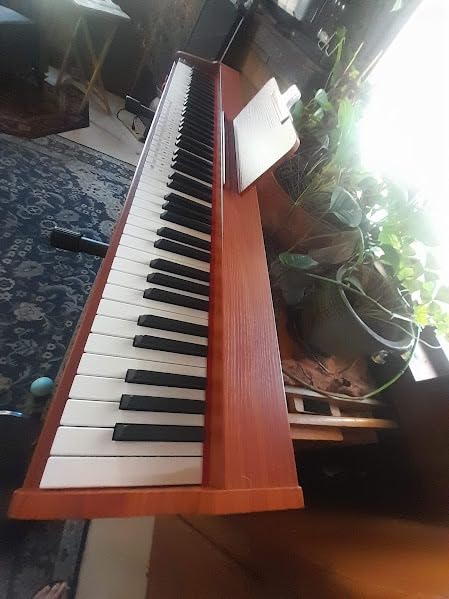 Donner DEP-1S Piano Keyboard 88 Keys, Beginner Digital Piano with 88 Key Velocity-Sensitive Keyboard, Record, Bluetooth, Chord, Bundle With Piano Stand, Piano Stickers, Sustain Pedal, Retro Wood Color customer photo 1
