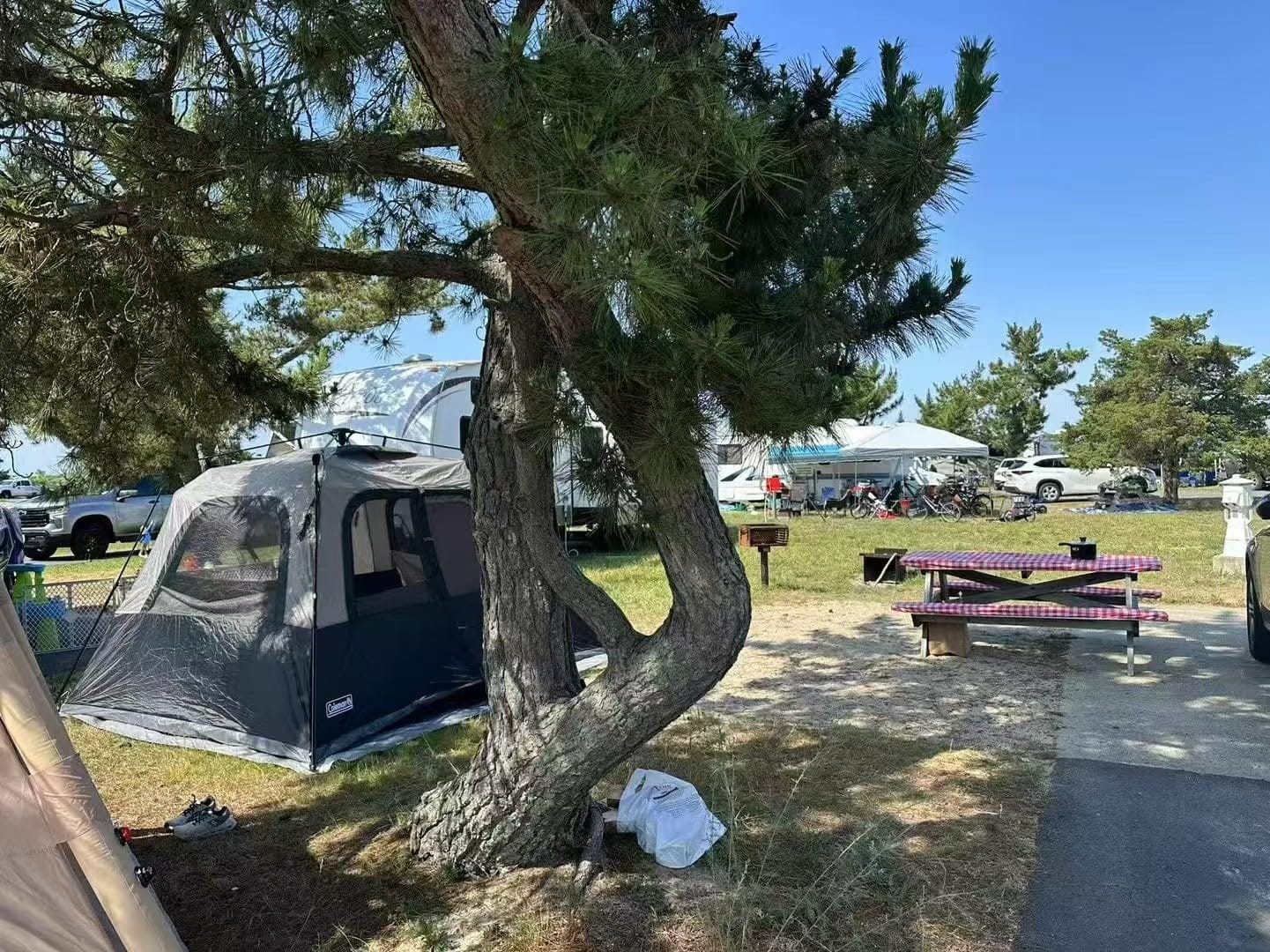 Coleman 4/6/8/10 Person Instant Camping Tent with 1-Minute Setup, Large Family Tent with Pre-Attached Poles, Air Vent, & Carry Bag, Sets Up in About 60 Seconds customer photo 2