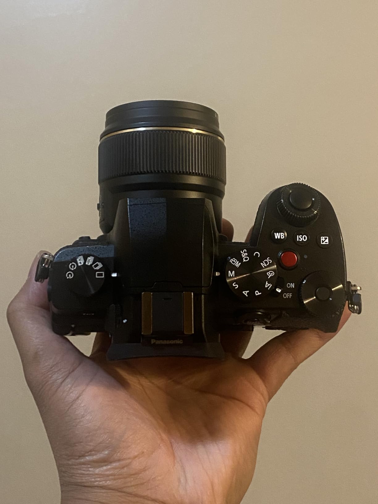 Panasonic LUMIX G97 Compact Hybrid Micro Four Thirds Mirrorless Camera with LUMIX G Vario 12-60mm / F3.5-5.6 Lens, Designed for Content Creators in Photo & Video, DC-G97MK customer photo 2