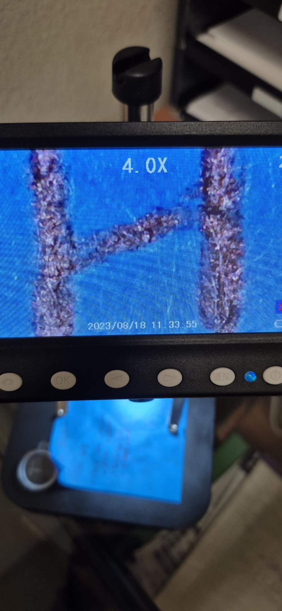 4.3