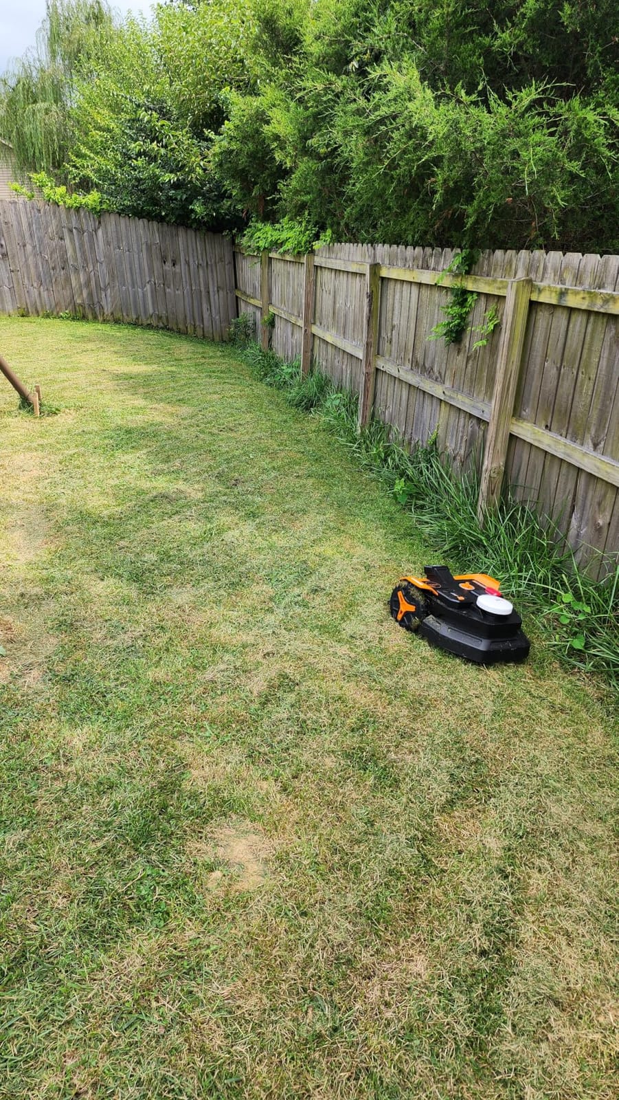 WORX Robot Lawn Mower for 1/4 Acre, Wire-Free with Brushes, WO7144 | Landroid Vision Cloud with App Control, AI Obstacle Avoidance, RTK Cloud Navigation, App Control, Handles 30% Slope customer photo 1