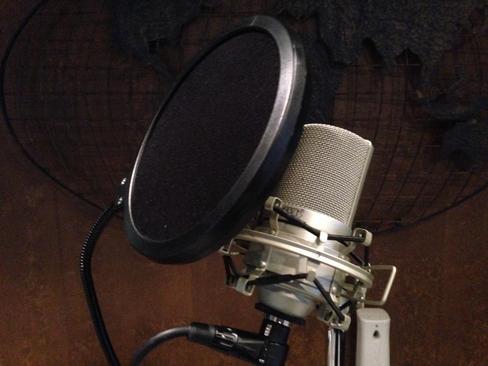 MXL 990 Condenser Microphone for Podcasting, Singing, Home Studio Recording, Gaming & Streaming | Detailed Sound | XLR | Large Diaphragm (Champagne) customer photo 2