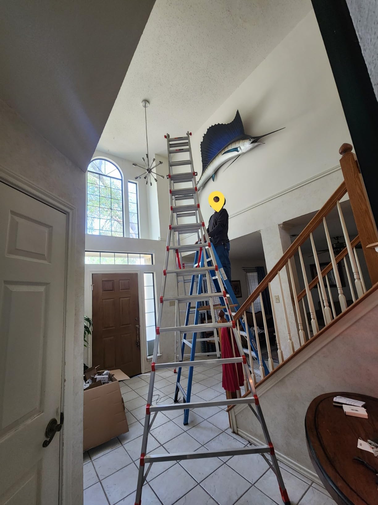 Little Giant Skyscraper 17 ft Adjustable Extension Stepladder, 10110 customer photo 2
