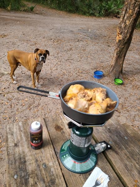 Coleman BottleTop Propane Stove with Adjustable Burner, Portable Camping/Backpacking Cooker with 7650 BTUs of Power for Camping, Tailgating, Grilling, & More customer photo 1