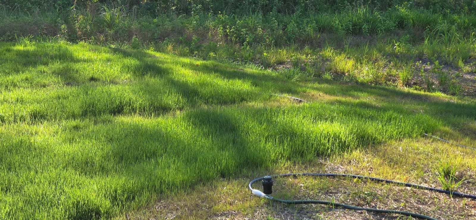 Orbit H2O-Six Gear-Drive Sprinkler on Metal T-Spike - Customizable Lawn Watering Coverage - Multi-Pattern Rotating Head with Adjustable Spray Range - Durable Outdoor Yard Irrigation Sprinkler - 58573 customer photo 2