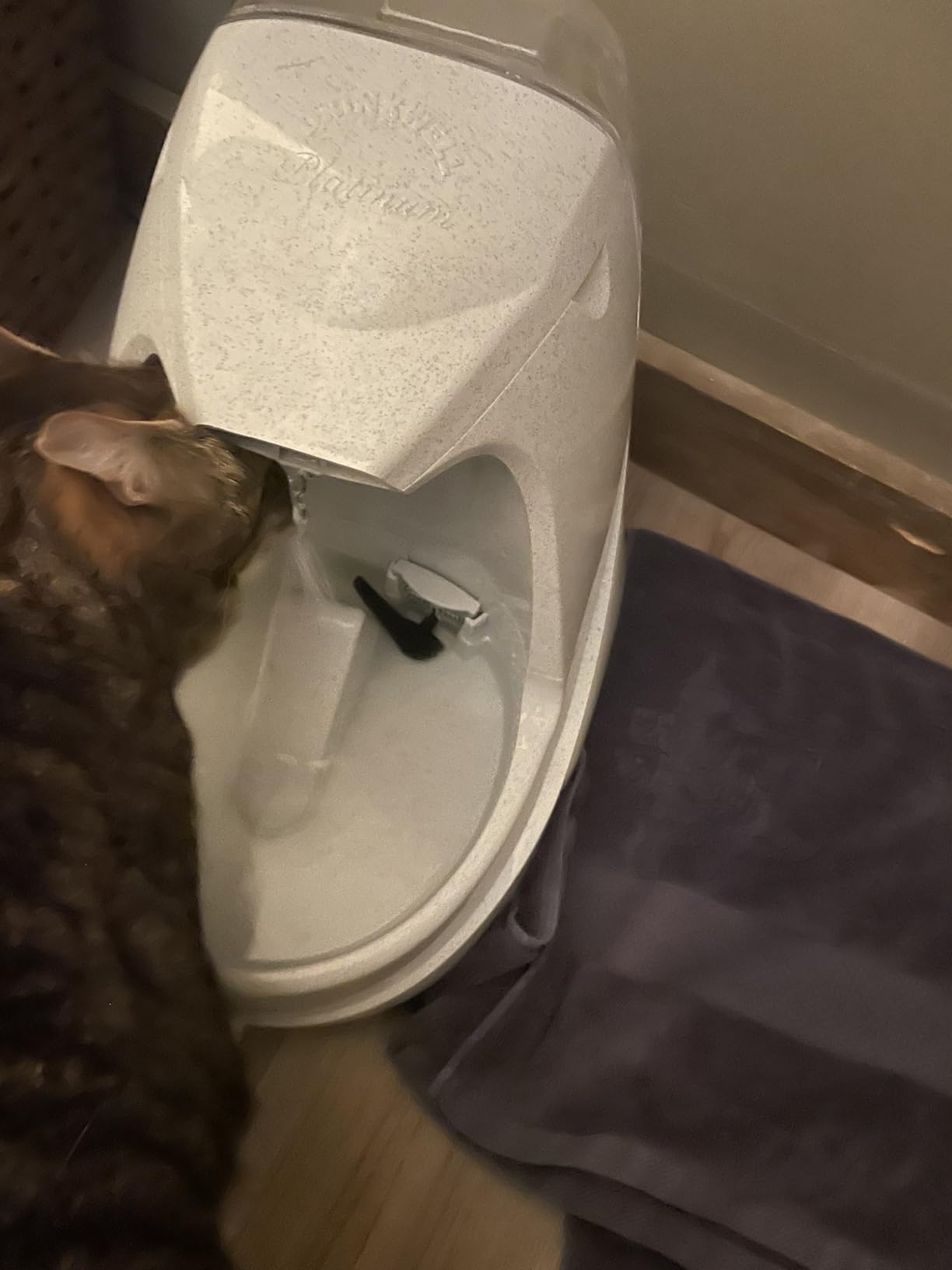 PetSafe Drinkwell Platinum Cat Water Fountain, 168 oz/5L, Grey customer photo 1