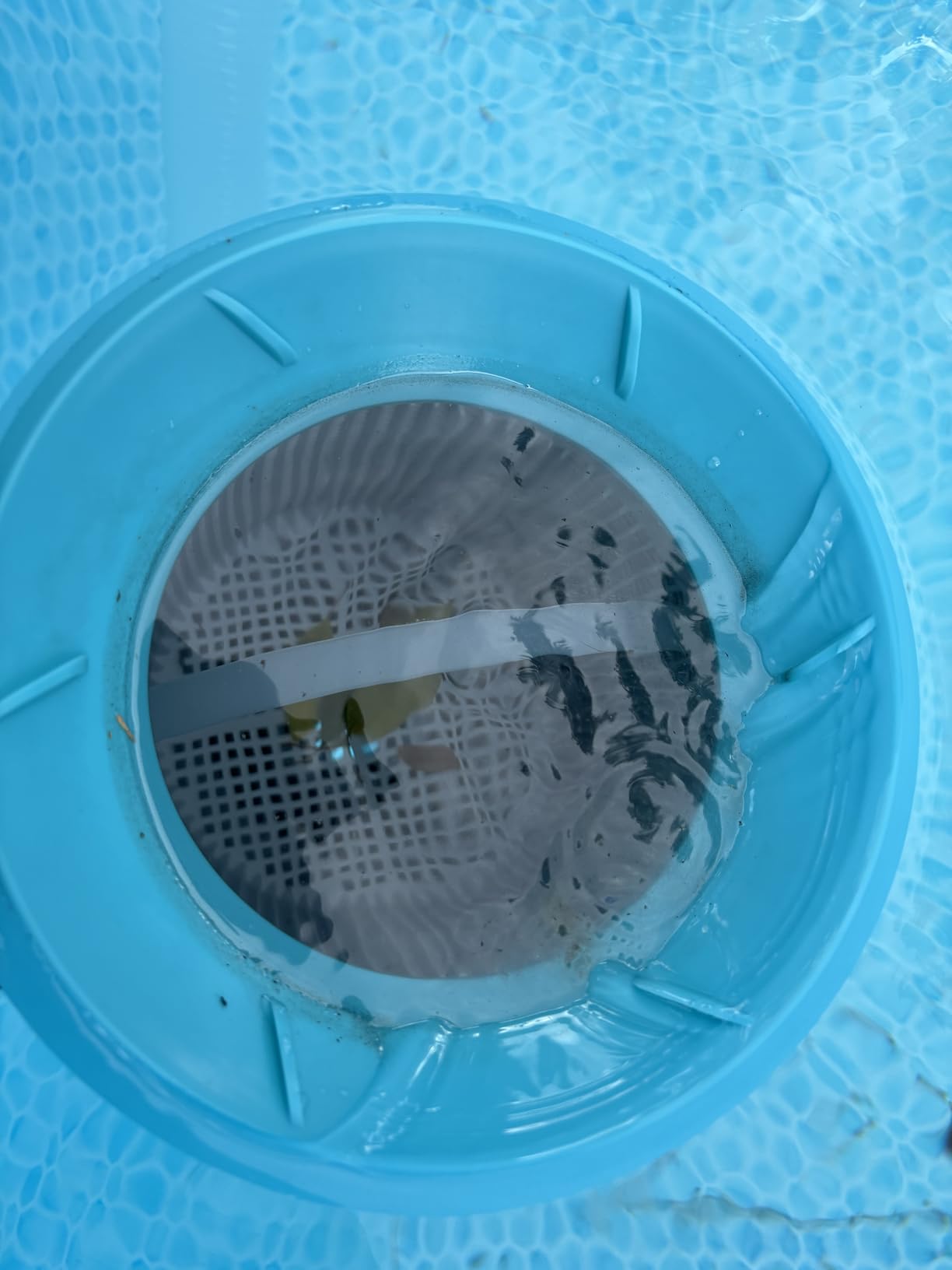 Intex Deluxe 800 GPH+ Wall-Mounted Swimming Pool Surface Automatic Skimmer customer photo 2